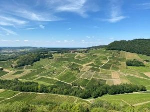 vins du Jura Franche comté